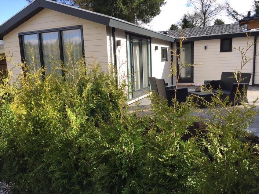 Huisjes Putten Reewold Chalet In Rustige En Mooie Omgeving Luaran gambar