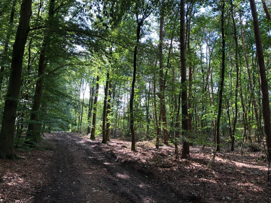 Huisjes Putten Reewold Chalet In Rustige En Mooie Omgeving Luaran gambar